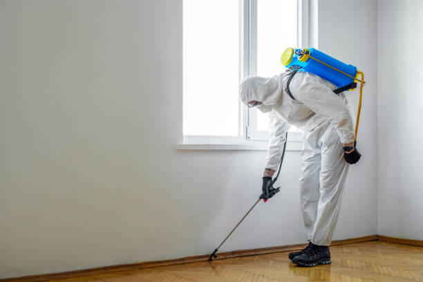 Best Cockroach Control Services  in The College Of New Jersey, NJ