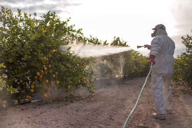  The College Of New Jersey, NJ Pest Control Pros