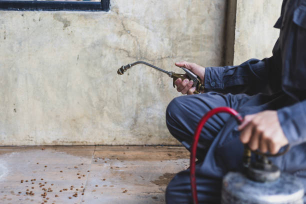 Best Exterminator Services  in The College Of New Jersey, NJ